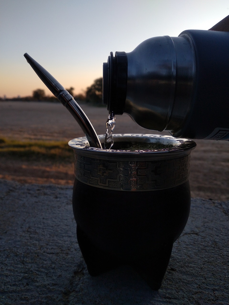 mate, nature, drink-7419875.jpg